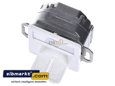 View up front Telegrtner J00020A0503 RJ45 2x8(8) Data outlet 6A (IEC) white - 
