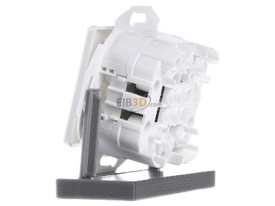 View on the right Telegrtner J00020A0508 RJ45 8(8) Data outlet 6A (IEC) white 
