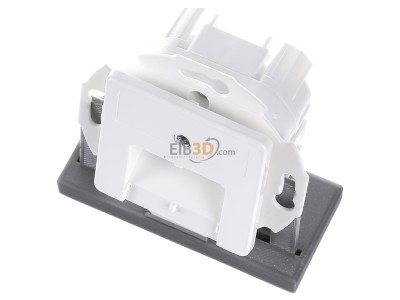 View up front Telegrtner J00020A0508 RJ45 8(8) Data outlet 6A (IEC) white 
