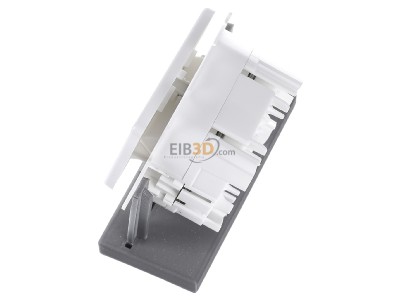 View top right Telegrtner J00020A0508 RJ45 8(8) Data outlet 6A (IEC) white 
