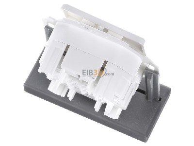 Top rear view Telegrtner J00020A0508 RJ45 8(8) Data outlet 6A (IEC) white 
