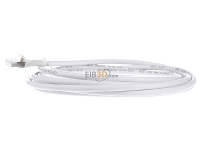 View on the right Metz 1308453088-E RJ45 8(8) Patch cord 6A (IEC) 3m 
