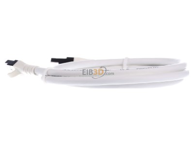 View on the right Metz 1308451088-E RJ45 8(8) Patch cord 6A (IEC) 1m 
