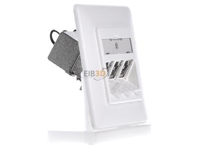 View on the left Metz Connect TN C6Amod-3UP-180rw RJ45 8(8) Data outlet 6A (IEC) white 
