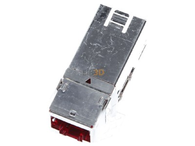 View up front Reichle & De-Massari R509504 RJ45 8(8) jack 
