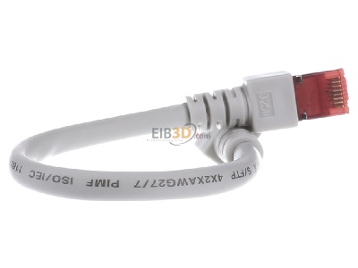 Back view EFB-Elektronik EC6000 0,25mgr S/FTP RJ45 8(8) Patch cord Cat.6 0,25m 
