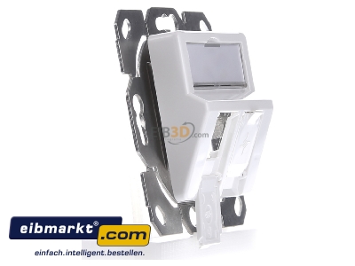 Ansicht links Telegrtner H02010A0083 Modul-Aufnahme 2fach UP/50 aws aufbauend 