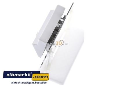 Ansicht oben rechts Telegrtner H02010A0083 Modul-Aufnahme 2fach UP/50 aws aufbauend 