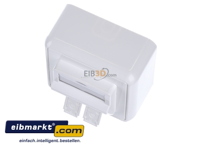 Ansicht oben vorne Telegrtner H02000A0092 Modul-Aufnahme AP 80x80 2fach aws leer 
