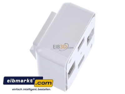 Ansicht oben rechts Telegrtner H02000A0092 Modul-Aufnahme AP 80x80 2fach aws leer 