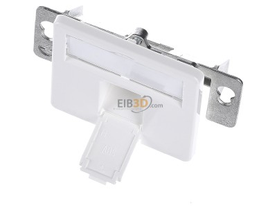 Ansicht oben vorne Telegrtner H02010A0079 Modul-Aufnahme 1fach UP/50 aws leer f.BR 