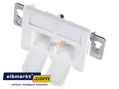 Ansicht oben vorne Telegrtner H02010A0081 Modul-Aufnahme 2fach UP/50 aws leer f.BR 