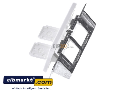 Ansicht oben rechts Telegrtner H02010A0081 Modul-Aufnahme 2fach UP/50 aws leer f.BR 