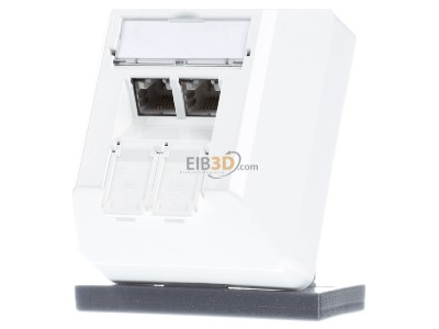 Front view Telegrtner J00023A0204 RJ45 8(8) Data outlet 6A (IEC) white 
