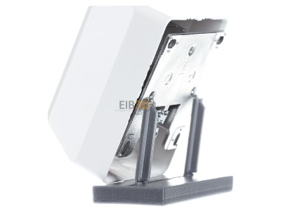 View on the right Telegrtner J00023A0204 RJ45 8(8) Data outlet 6A (IEC) white 

