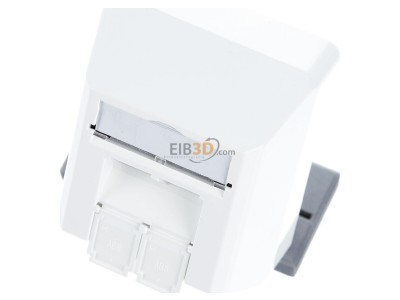 View up front Telegrtner J00023A0204 RJ45 8(8) Data outlet 6A (IEC) white 
