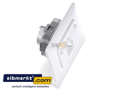 View top left Rutenbeck 136112030 RJ45 8(8) Data outlet 6A (IEC) white 
