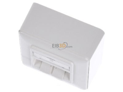 Ansicht oben vorne Metz TN E-DATmod-2AP-rws Anschlussdose, Cat.6A 2xRJ45,AP,rws 