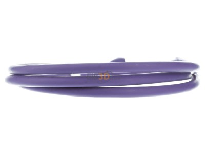 Ansicht hinten Telegrtner L00000A0226 Patchkabel S/FTP 6A li 1,0m 