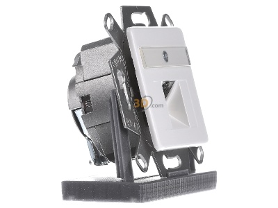 View on the left Dtwyler 435067 RJ45 8(8) Data outlet 6A (IEC) white 
