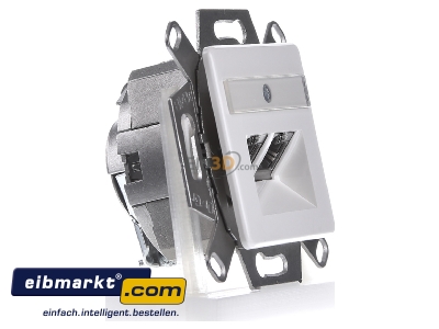 View on the left Dtwyler Cabl.DNT 435060 RJ45 8(8) Data outlet 6A (IEC) white 
