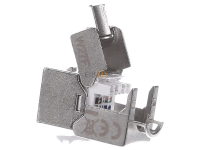 View on the right Assmann DN-93615 RJ45 8(8) jack 
