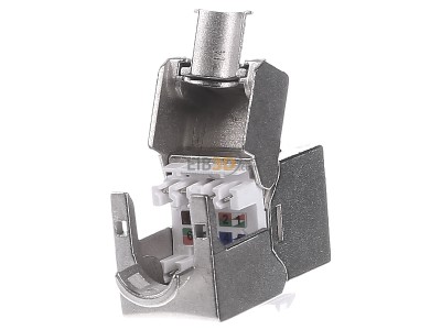 Back view Assmann DN-93615 RJ45 8(8) jack 
