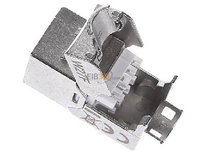 View top right Assmann DN-93615 RJ45 8(8) jack 
