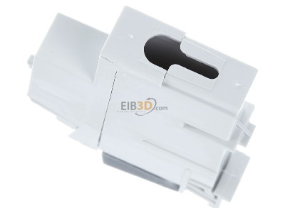 View top right Rutenbeck UM-Cat.6A iso-REG Accessory for data connector 
