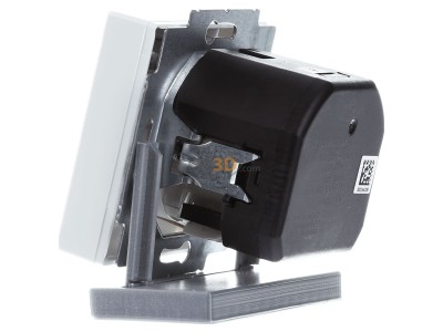 View on the right Busch Jaeger 20 EUCB2USBAC-84 Socket outlet 
