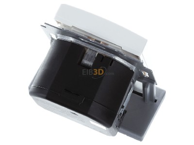 Ansicht oben hinten Busch Jaeger 20 EUCB2USBAC-914 SCHUKO Steckdose USB-A+C 