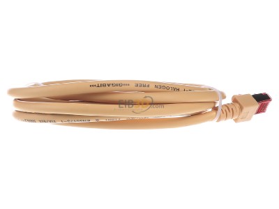 Ansicht hinten EFB-Elektronik EC6000 2m ge S/FTP Patchkabel Cat.6 2xRJ45 mit S/FTP 