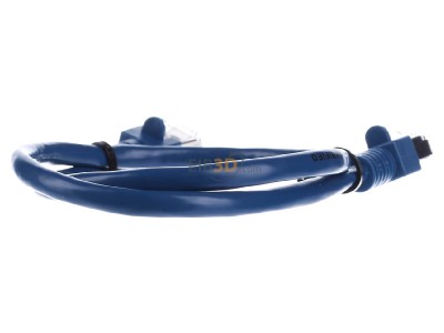 Ansicht hinten EFB-Elektronik EC5000 0,5m blSF/UTP Patchkabel Cat.5e 2xRJ45 mit SF/UTP 