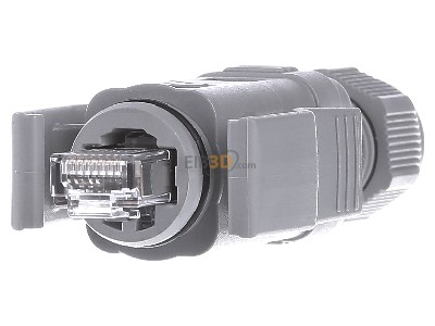 Front view Phoenix VS-08-RJ45-5-Q/IP67 RJ45 8(8) plug 
