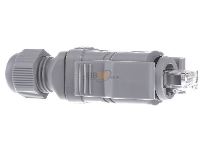 View on the left Phoenix VS-08-RJ45-5-Q/IP67 RJ45 8(8) plug 
