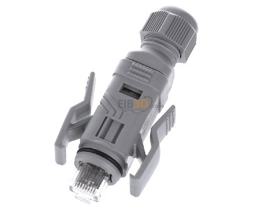 View up front Phoenix VS-08-RJ45-5-Q/IP67 RJ45 8(8) plug 
