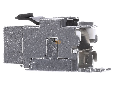 Ansicht rechts Telegrtner J00029L0036 AMJ Modul Cat.6A (Komp.ISO)T568A Bli. 