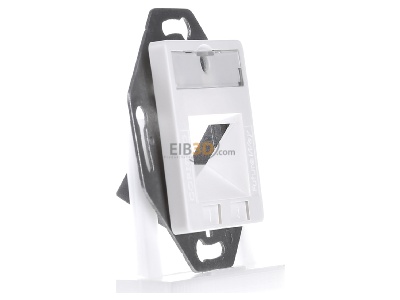View on the left Corning WAXWSE-S0201-C001 Data outlet white 

