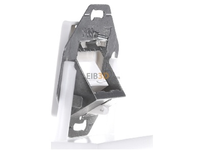 View on the right Corning WAXWSE-S0201-C001 Data outlet white 
