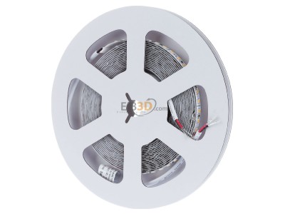 Front view Brumberg 38203003 Light ribbon-/hose/-strip 24V white 
