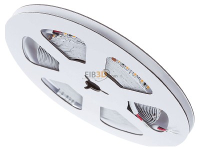 View up front Brumberg 38203003 Light ribbon-/hose/-strip 24V white 
