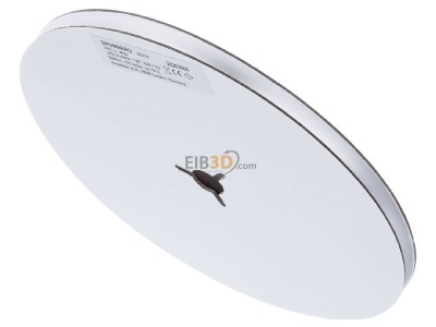 Top rear view Brumberg 38203003 Light ribbon-/hose/-strip 24V white 
