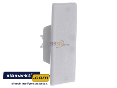 View on the left OBO Bettermann WDK HE40060LGR End cap for installation duct 60x40mm
