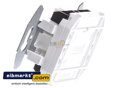View on the right Tehalit G 3120 RJ45 8(8) Data outlet Cat.3 
