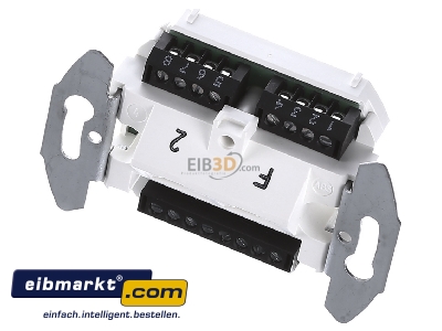 View up front Tehalit G 3120 RJ45 8(8) Data outlet Cat.3 
