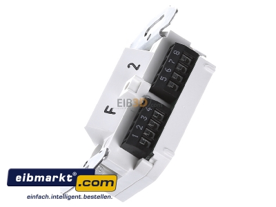 View top right Tehalit G 3120 RJ45 8(8) Data outlet Cat.3 
