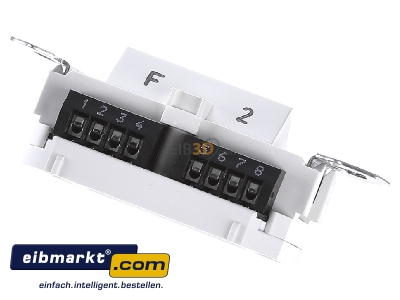 Top rear view Tehalit G 3120 RJ45 8(8) Data outlet Cat.3 
