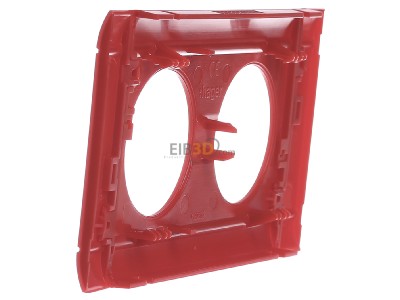 View on the right Tehalit GB080203020 Face plate for device mount wireway 
