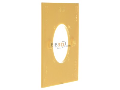 View on the right OBO VH-P7 Cover plate for installation column 
