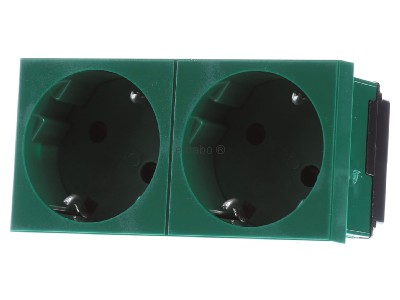 Front view OBO STD-D3S MZGN2 Socket outlet protective contact green 
